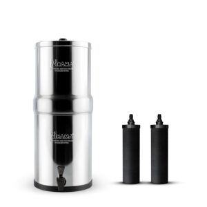 RAMA Gravity Water Filter | 12L Total Capacity (6L Storage) | 304 Stainless Steel Non electric Purifier for Home | Includes 2 Carbon Candles | 10-Year Manufacturer Warranty