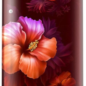 Whirlpool 184 L 5 Star Direct-Cool Single Door Refrigerator with Intellisense Inverter Compressor (205 WDE ROY 5S Inv WINE SPRING-Z)