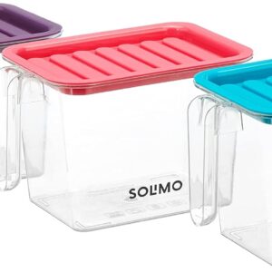 Amazon Brand – Solimo Plastic Multi-Purpose Fridge Storage Container with Handle & Lid |Set of 3 | Fruit & Vegetable Basket | BPA Free | Food Grade | 1100 ml | Multicolour