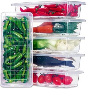 INOVERA (LABEL) Polypropylene 6 Pieces Fridge Storage Boxes | Refrigerator Organizer Box Set With Removable Drain Plate & Lid | Freezer Organiser Containers For Vegetables, Food, Fruits (Transparent)