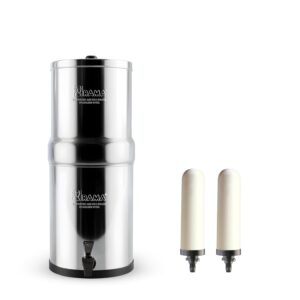 refrigerator water filter