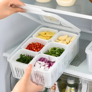 hago Refrigerator Organizer Container with 6 Grid Compartments | 1200 ML Fridge Storage Box for Vegetables & Fruits | BPA-Free Kitchen Storage Container for Fridge Organisation